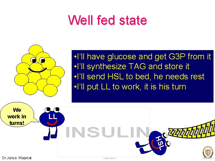 Well fed state • I’ll have glucose and get G 3 P from it