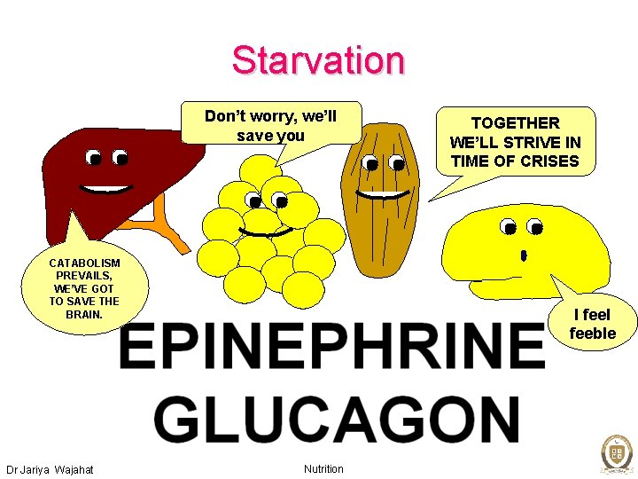 Starvation Don’t worry, we’ll save you CATABOLISM PREVAILS, WE’VE GOT TO SAVE THE BRAIN.