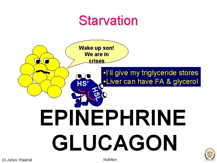 Starvation Wake up son! We are in crises HSL • I’ll give my triglyceride