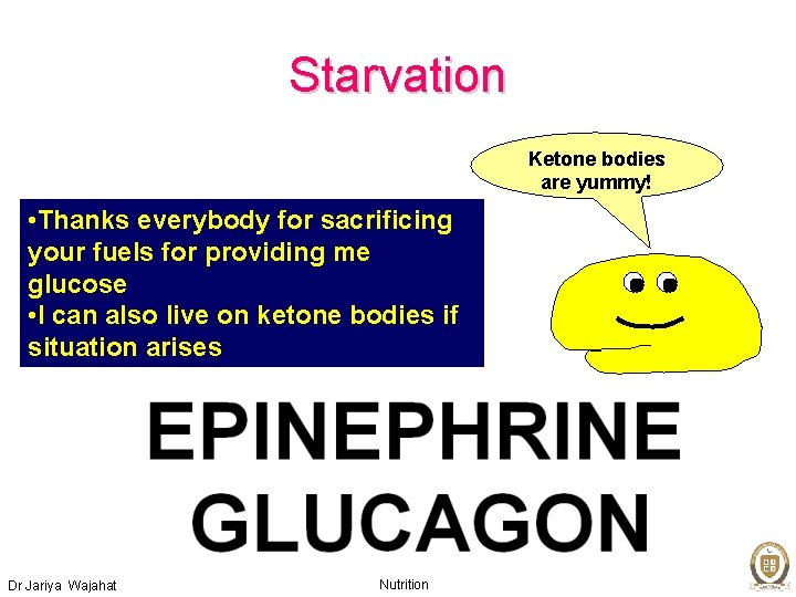 Starvation Ketone bodies are yummy! • Thanks everybody for sacrificing your fuels for providing