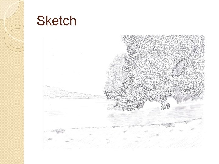 Sketch 