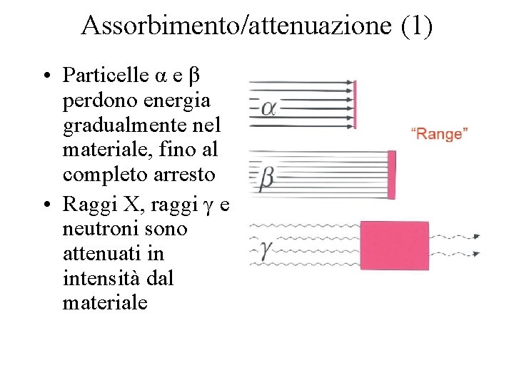 Assorbimento/attenuazione (1) • Particelle α e β perdono energia gradualmente nel materiale, fino al