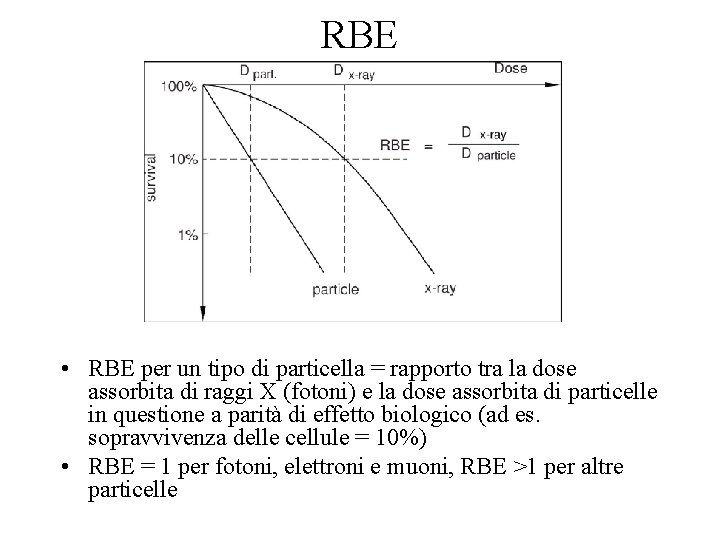 RBE • RBE per un tipo di particella = rapporto tra la dose assorbita