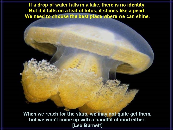 If a drop of water falls in a lake, there is no identity. But