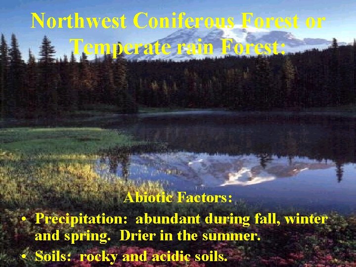 Northwest Coniferous Forest or Temperate rain Forest: Abiotic Factors: • Precipitation: abundant during fall,