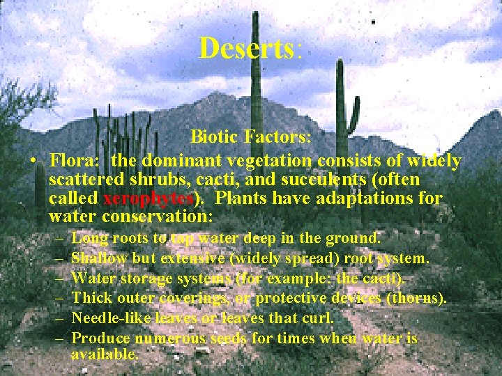 Deserts: Biotic Factors: • Flora: the dominant vegetation consists of widely scattered shrubs, cacti,