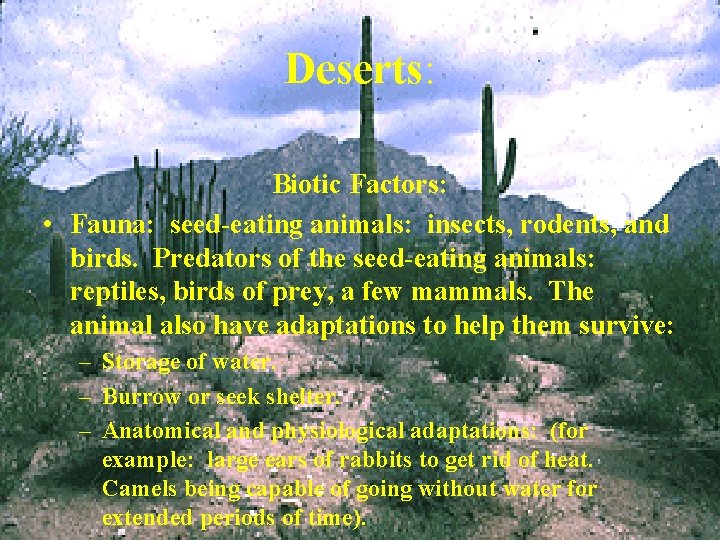 Deserts: Biotic Factors: • Fauna: seed-eating animals: insects, rodents, and birds. Predators of the