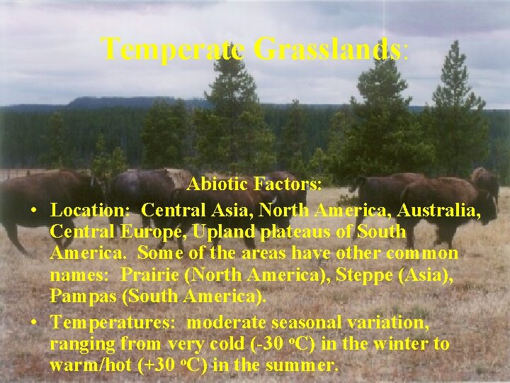 Temperate Grasslands: Abiotic Factors: • Location: Central Asia, North America, Australia, Central Europe, Upland