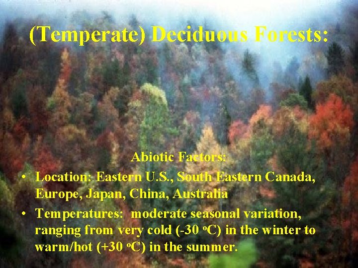 (Temperate) Deciduous Forests: Abiotic Factors: • Location: Eastern U. S. , South Eastern Canada,