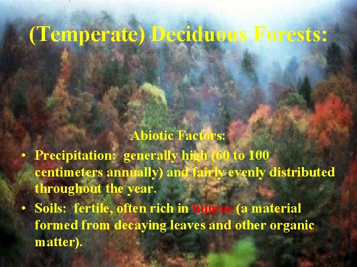(Temperate) Deciduous Forests: Abiotic Factors: • Precipitation: generally high (60 to 100 centimeters annually)