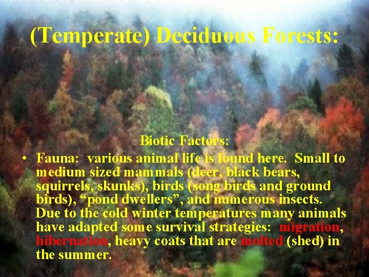 (Temperate) Deciduous Forests: Biotic Factors: • Fauna: various animal life is found here. Small