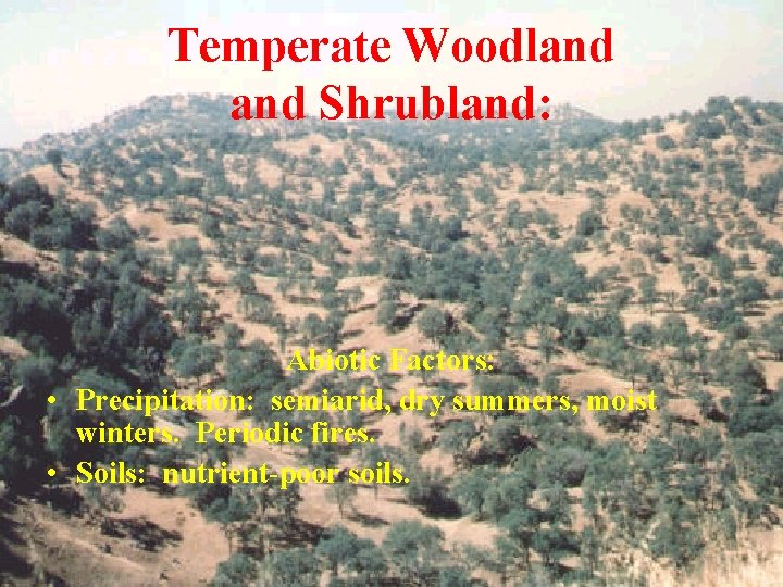 Temperate Woodland Shrubland: Abiotic Factors: • Precipitation: semiarid, dry summers, moist winters. Periodic fires.