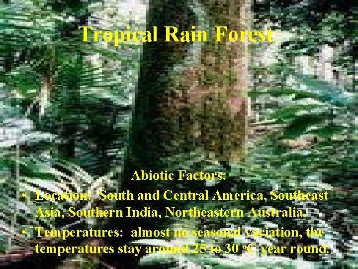 Tropical Rain Forest: Abiotic Factors: • Location: South and Central America, Southeast Asia, Southern