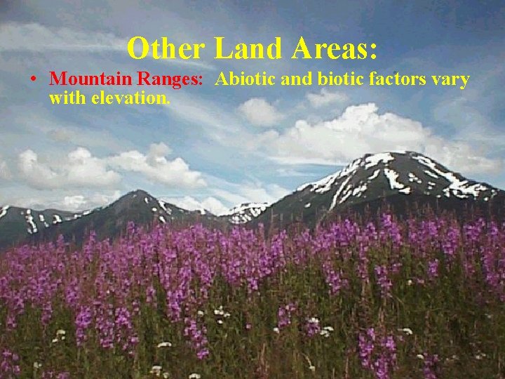 Other Land Areas: • Mountain Ranges: Abiotic and biotic factors vary with elevation. 