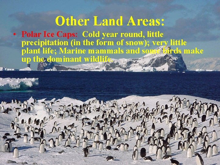 Other Land Areas: • Polar Ice Caps: Cold year round, little precipitation (in the