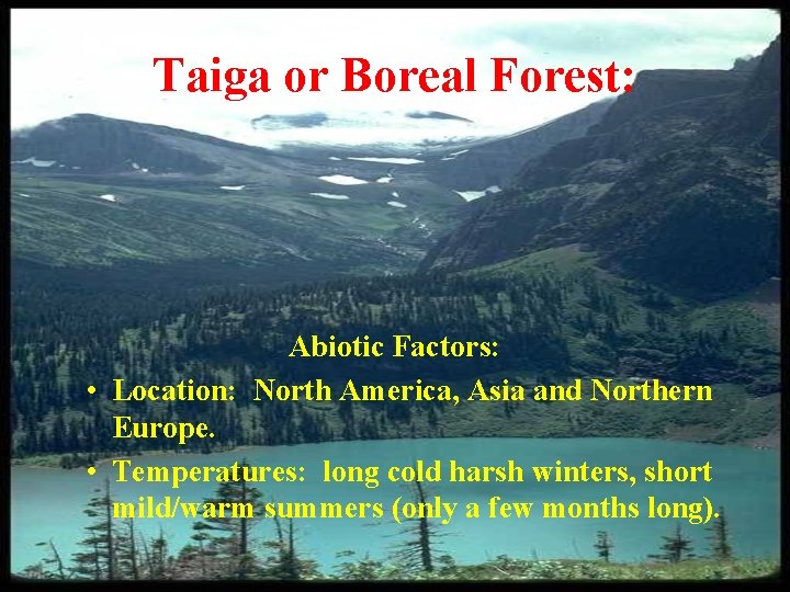 Taiga or Boreal Forest: Abiotic Factors: • Location: North America, Asia and Northern Europe.