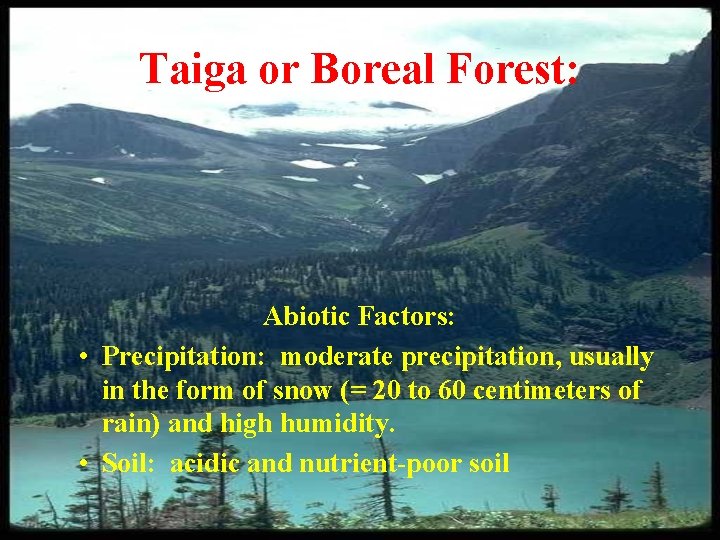 Taiga or Boreal Forest: Abiotic Factors: • Precipitation: moderate precipitation, usually in the form