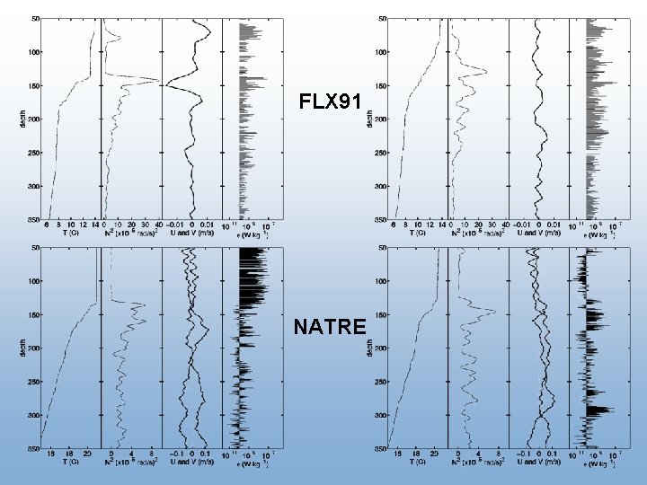 FLX 91 NATRE 