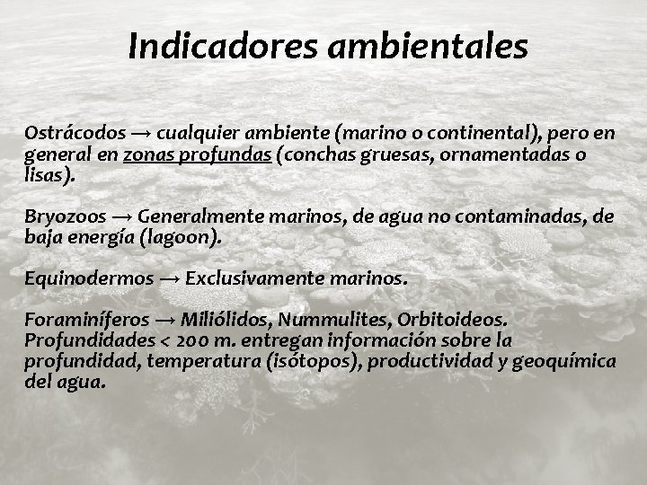 Indicadores ambientales Ostrácodos → cualquier ambiente (marino o continental), pero en general en zonas