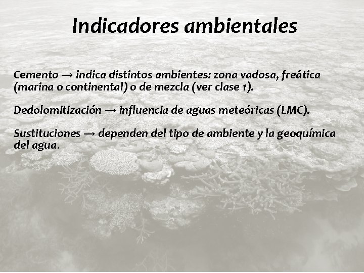 Indicadores ambientales Cemento → indica distintos ambientes: zona vadosa, freática (marina o continental) o