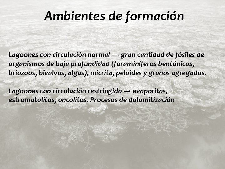 Ambientes de formación Lagoones con circulación normal → gran cantidad de fósiles de organismos