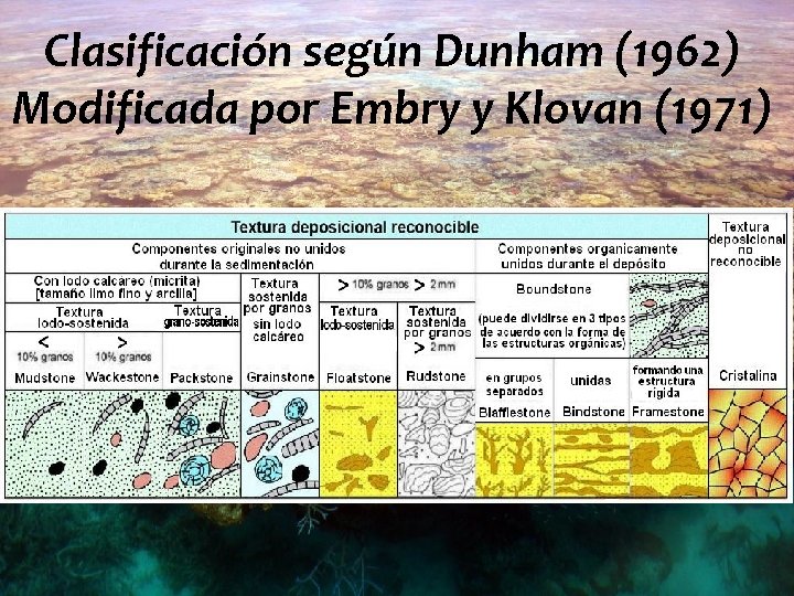 Clasificación según Dunham (1962) Modificada por Embry y Klovan (1971) 