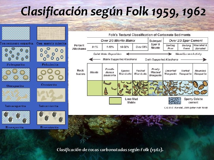 Clasificación según Folk 1959, 1962 Clasificación de rocas carbonatadas según Folk (1962). 