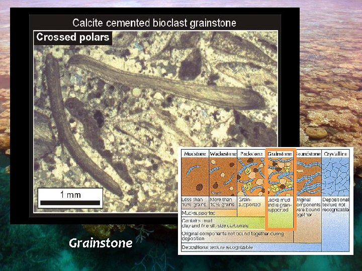 Grainstone 