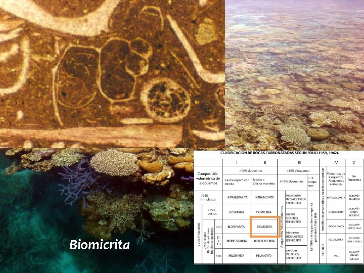 Biomicrita 