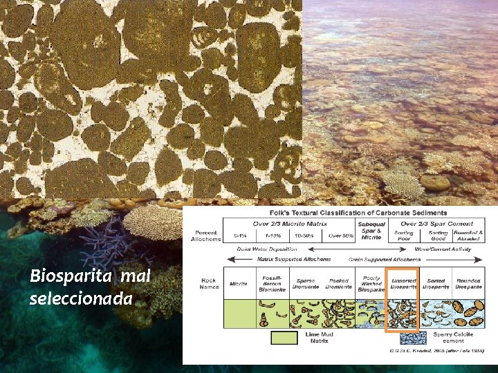 Biosparita mal seleccionada 