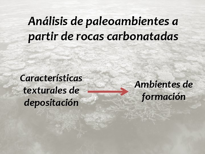 Análisis de paleoambientes a partir de rocas carbonatadas Características texturales de depositación Ambientes de