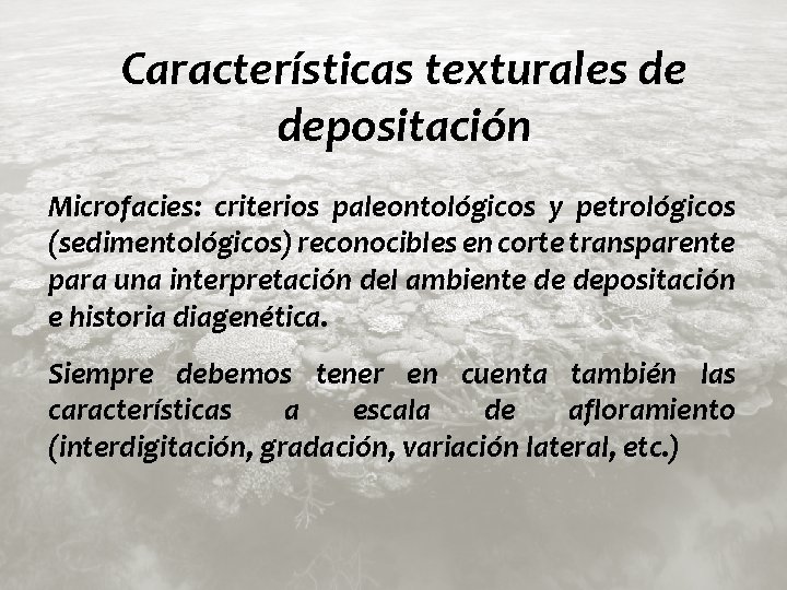 Características texturales de depositación Microfacies: criterios paleontológicos y petrológicos (sedimentológicos) reconocibles en corte transparente