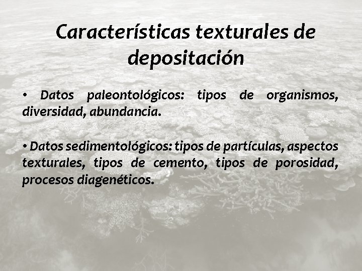 Características texturales de depositación • Datos paleontológicos: tipos de organismos, diversidad, abundancia. • Datos