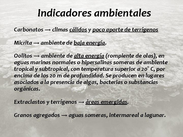 Indicadores ambientales Carbonatos → climas cálidos y poco aporte de terrígenos Micrita → ambiente