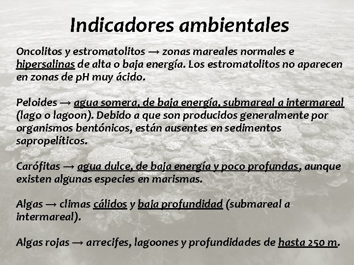 Indicadores ambientales Oncolitos y estromatolitos → zonas mareales normales e hipersalinas de alta o