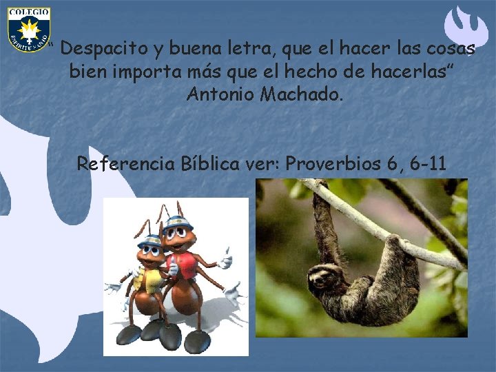 “ Despacito y buena letra, que el hacer las cosas bien importa más que