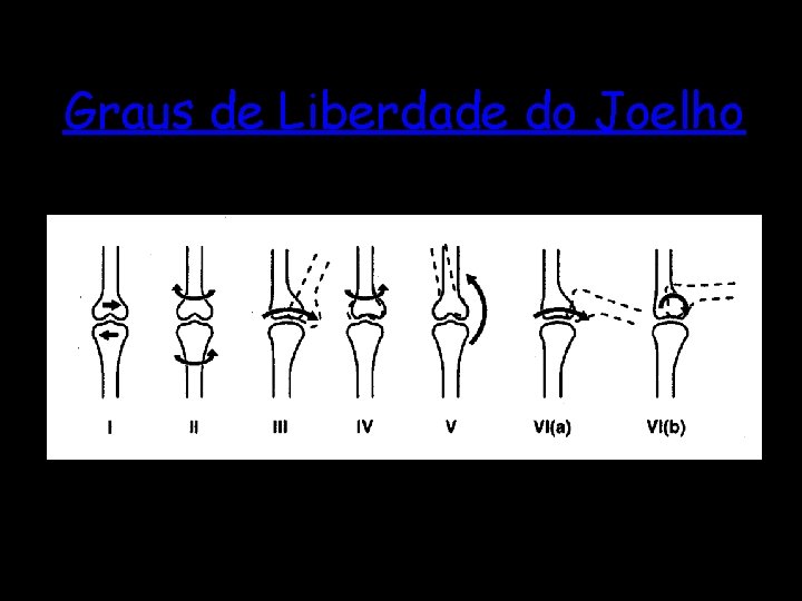 Graus de Liberdade do Joelho 