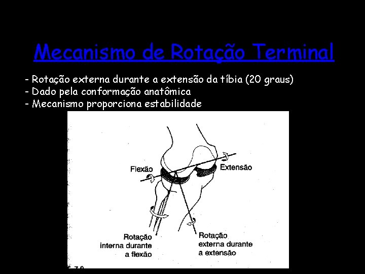 Mecanismo de Rotação Terminal - Rotação externa durante a extensão da tíbia (20 graus)