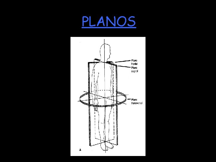 PLANOS 