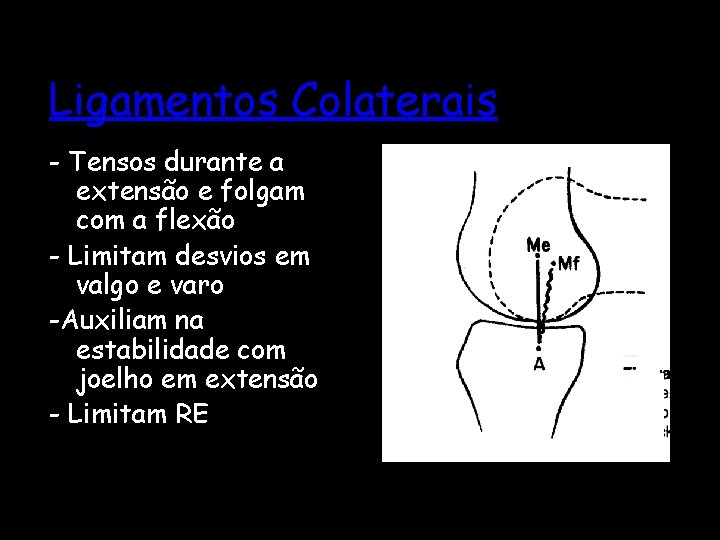 Ligamentos Colaterais - Tensos durante a extensão e folgam com a flexão - Limitam