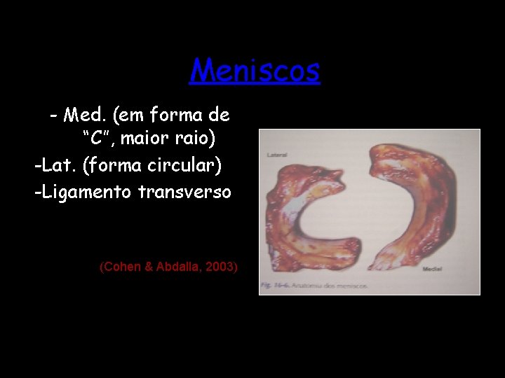 Meniscos - Med. (em forma de “C”, maior raio) -Lat. (forma circular) -Ligamento transverso