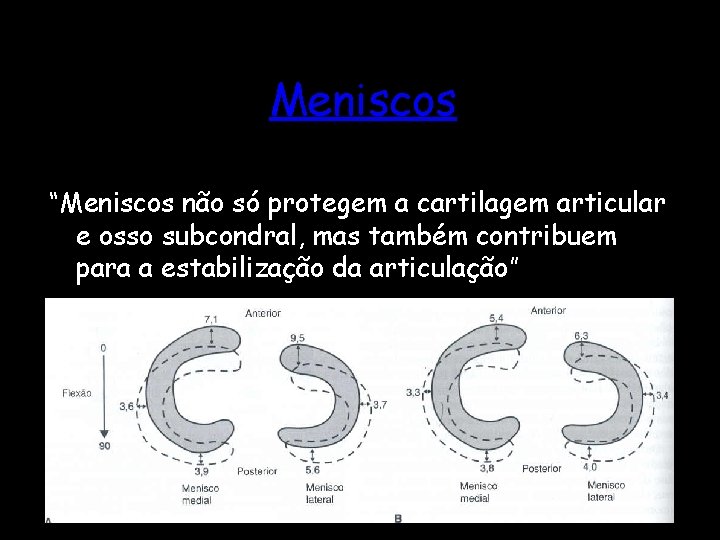 Meniscos “Meniscos não só protegem a cartilagem articular e osso subcondral, mas também contribuem