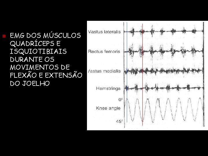 n EMG DOS MÚSCULOS QUADRÍCEPS E ISQUIOTIBIAIS DURANTE OS MOVIMENTOS DE FLEXÃO E EXTENSÃO