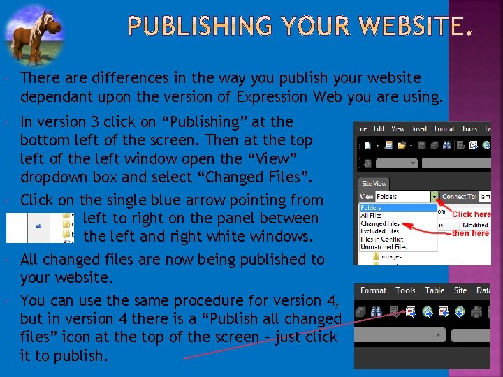  There are differences in the way you publish your website dependant upon the