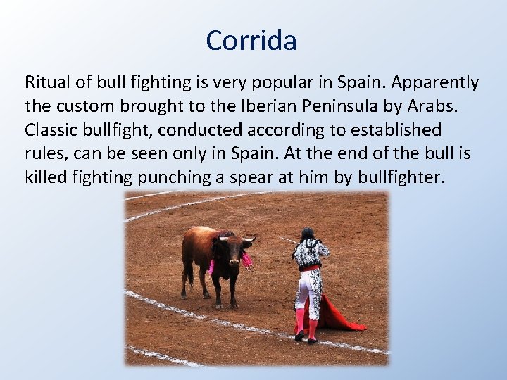 Corrida Ritual of bull fighting is very popular in Spain. Apparently the custom brought