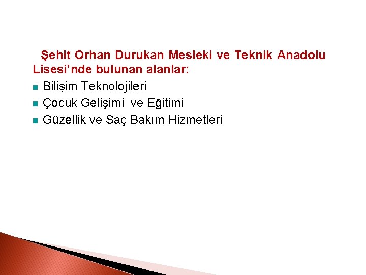 Şehit Orhan Durukan Mesleki ve Teknik Anadolu Lisesi’nde bulunan alanlar: Bilişim Teknolojileri Çocuk Gelişimi