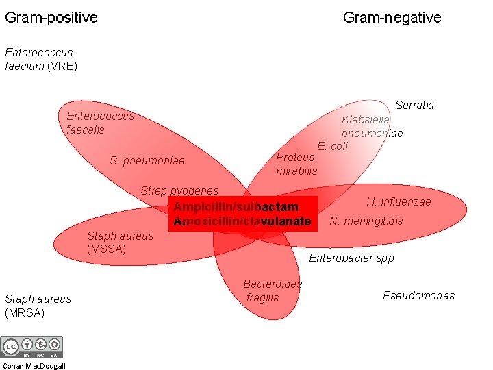 Gram-positive Gram-negative Enterococcus faecium (VRE) Serratia Enterococcus faecalis S. pneumoniae Proteus mirabilis Strep pyogenes