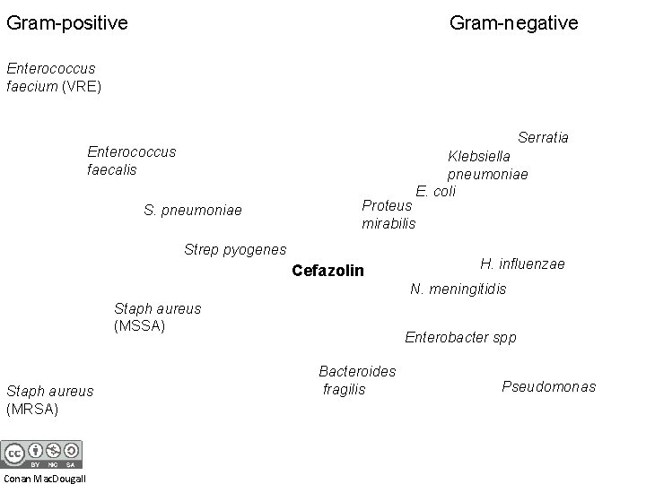 Gram-positive Gram-negative Enterococcus faecium (VRE) Serratia Enterococcus faecalis S. pneumoniae Proteus mirabilis Strep pyogenes