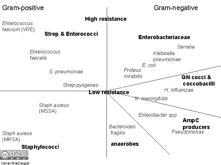 Gram-positive Enterococcus faecium (VRE) Gram-negative High resistance Strep & Enterococci Enterobacteriaceae Serratia Enterococcus faecalis