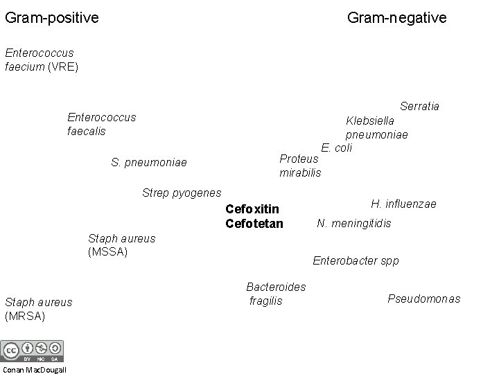 Gram-positive Gram-negative Enterococcus faecium (VRE) Serratia Enterococcus faecalis S. pneumoniae Proteus mirabilis Strep pyogenes
